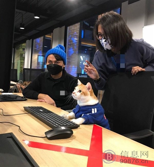 北京专业****澳洲新西兰英国签证拒签翻案上诉申诉
